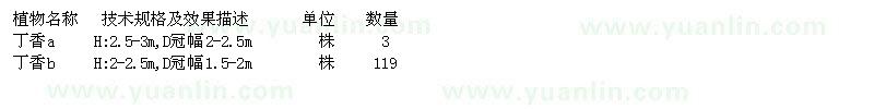 求購丁香