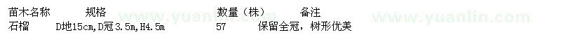 求購石榴