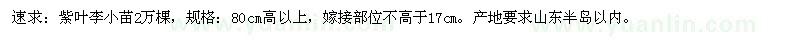 求購(gòu)紫葉李小苗2萬(wàn)棵