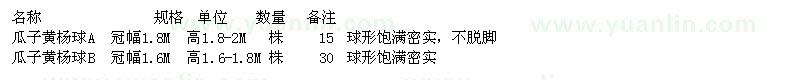 求購瓜子黃楊球