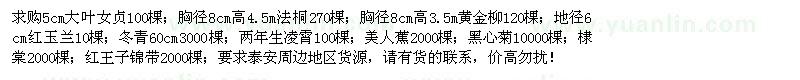 求購大葉女貞、法桐、黃金柳、紅玉蘭等苗木