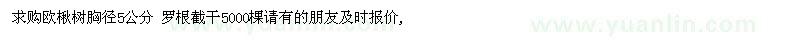 求購歐楸樹胸徑5公分