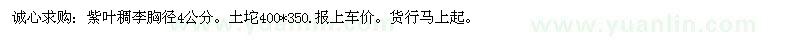 求購紫葉稠李胸徑4公分