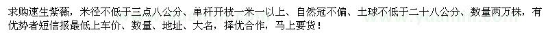 求購速生紫薇