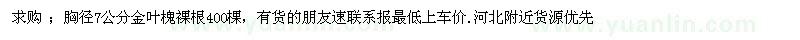 求購胸徑7公分金葉槐裸根400棵