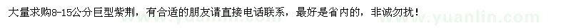求購(gòu)8-15公分巨型紫荊