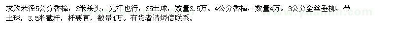 求購金絲垂柳