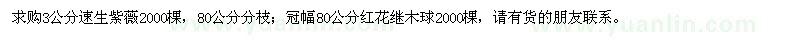 求購紫薇、紅花繼木球