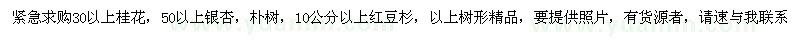 求購(gòu)30以上桂花，樸樹，銀杏，紅豆杉