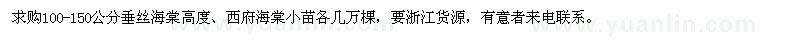 求購垂絲海棠、西府海棠小苗