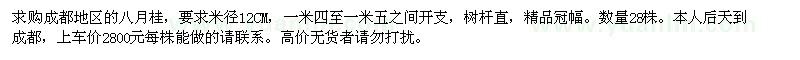 求購12CM的八月桂