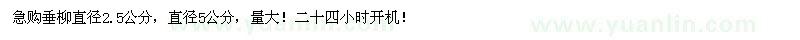 求購急垂柳直徑2.5公分