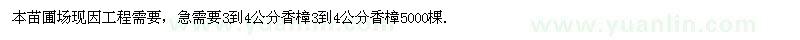 求購(gòu)香樟3到4公分香樟5000棵