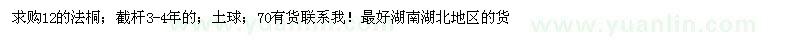 求購(gòu)12的法桐；截桿3-4年