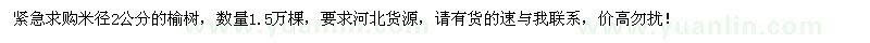 求購(gòu)米徑2公分榆樹1.5萬(wàn)棵