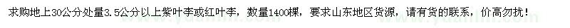 求購30量3.5公分以上紫葉李或紅葉李1400棵