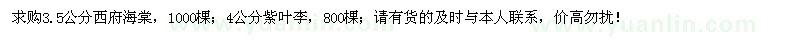 求購3.5公分西府海棠、4公分紫葉李