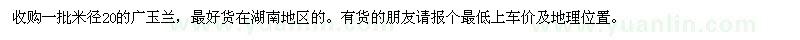 求購一批米徑20的廣玉蘭，