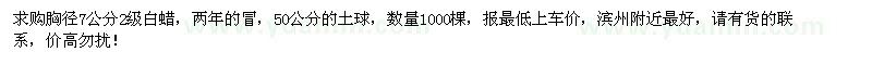 求購胸徑7公分白蠟1000棵