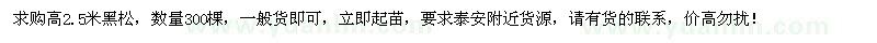 求購(gòu)高2.5米黑松300棵