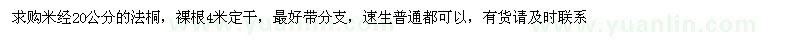 求購米經(jīng)20公分的法桐