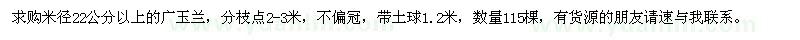 求購(gòu)米徑22公分以上的廣玉蘭