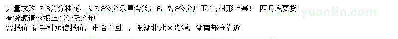 求購湖北7-8公分桂花，6-7-8樂昌含笑