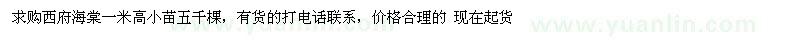 求購(gòu)西府海棠