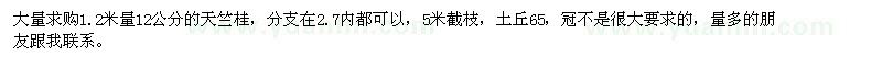 求購12公分的天竺桂