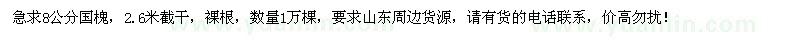 求購(gòu)8公分國(guó)槐1萬(wàn)棵