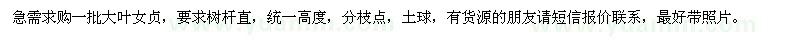 求購2-5公分大葉女貞