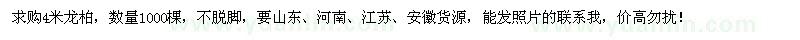 求購(gòu)4米龍柏1000棵