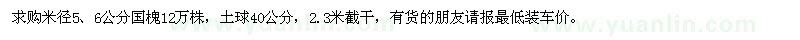 求購米徑5、6公分國槐12萬株