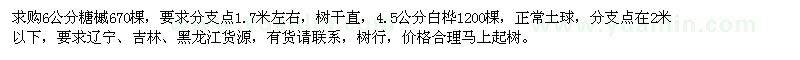 求購6公分糖槭、4.5公分白樺