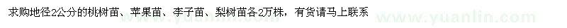 求購地徑2公分的桃樹苗、蘋果苗、李子苗、梨樹苗