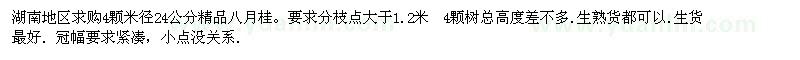 求購大桂花