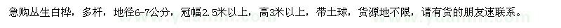 求購(gòu)叢生白樺