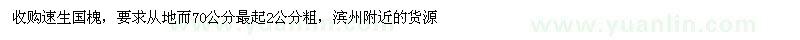 求購速生國槐