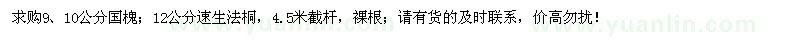 求購9、10公分國槐、12公分速生法桐