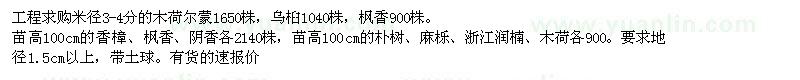 求購(gòu)木荷、楓香烏桕等苗木