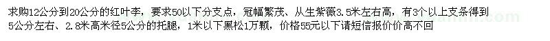 求購12公分到20公分的紅葉李