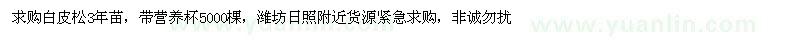 求購白皮松3年苗