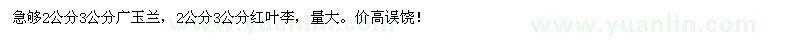 求購2-3公分廣玉蘭，2-3公分紅葉李