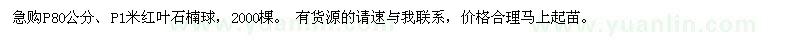 求購紅葉石楠球2000棵