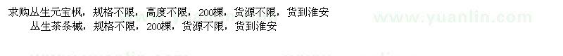 求購叢生元寶楓、叢生茶條槭