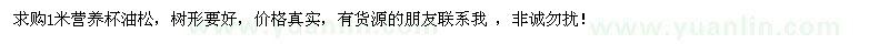 求購1米營養(yǎng)杯油松