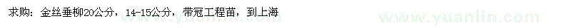求購金絲垂柳20公分,14-15公分