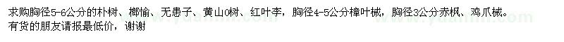 求購(gòu)胸徑5-6公分的樸樹(shù)