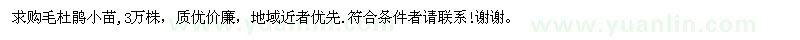 求購毛杜鵑小苗