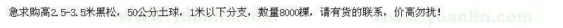 求購(gòu)高2.5-3.5米黑松8000棵